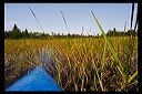kayak1