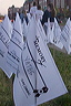 flags3